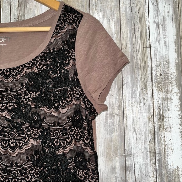 Loft Brown & Lace Top Tee - Picture 2 of 4